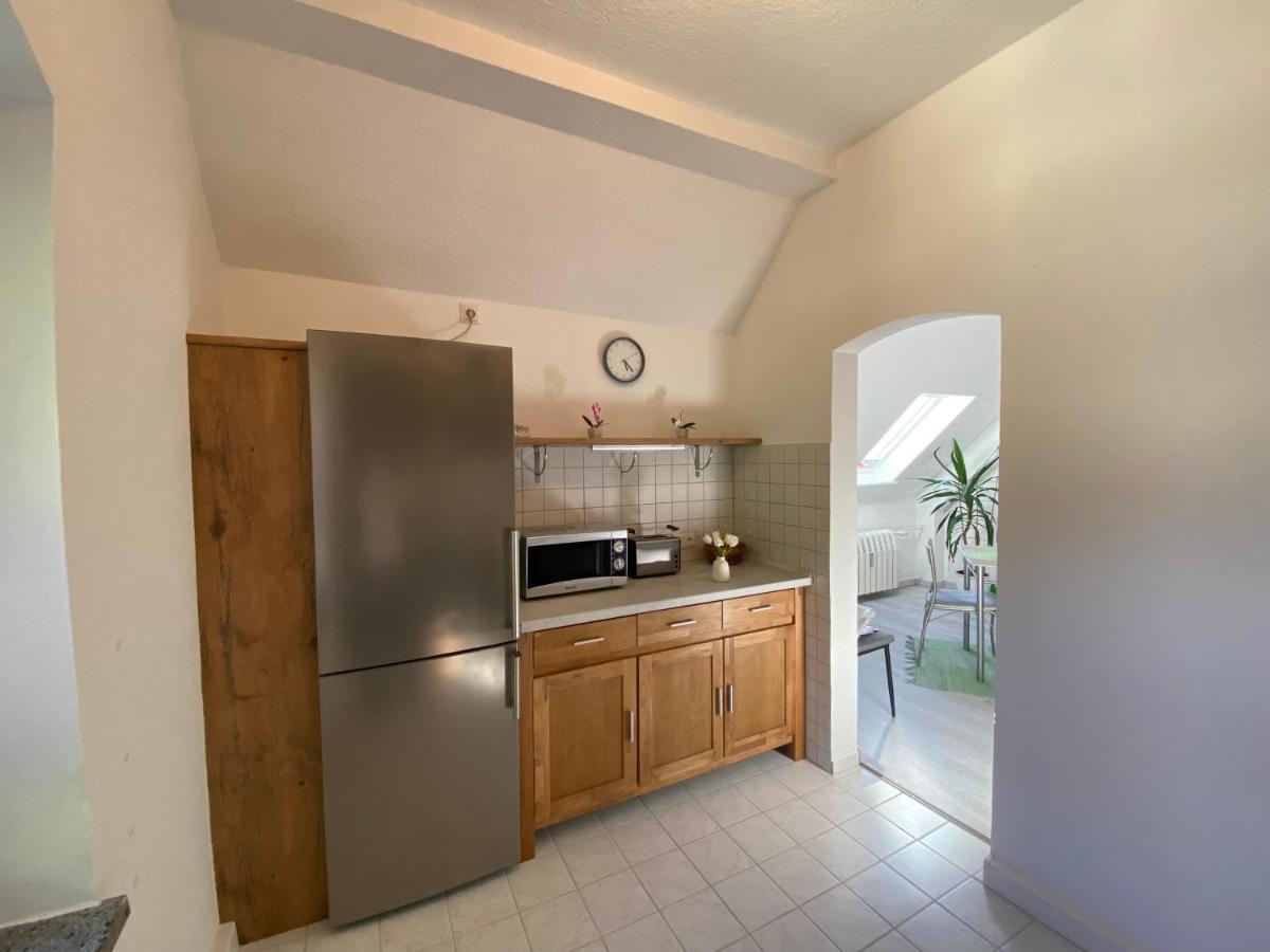 Waldblickwohnung Mit Schoener Terrasse Und Kamin Зебниц Экстерьер фото