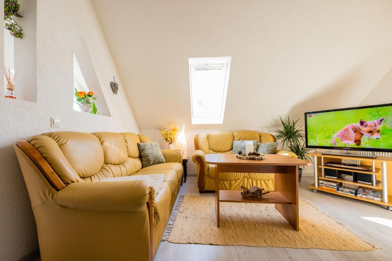 Waldblickwohnung Mit Schoener Terrasse Und Kamin Зебниц Экстерьер фото