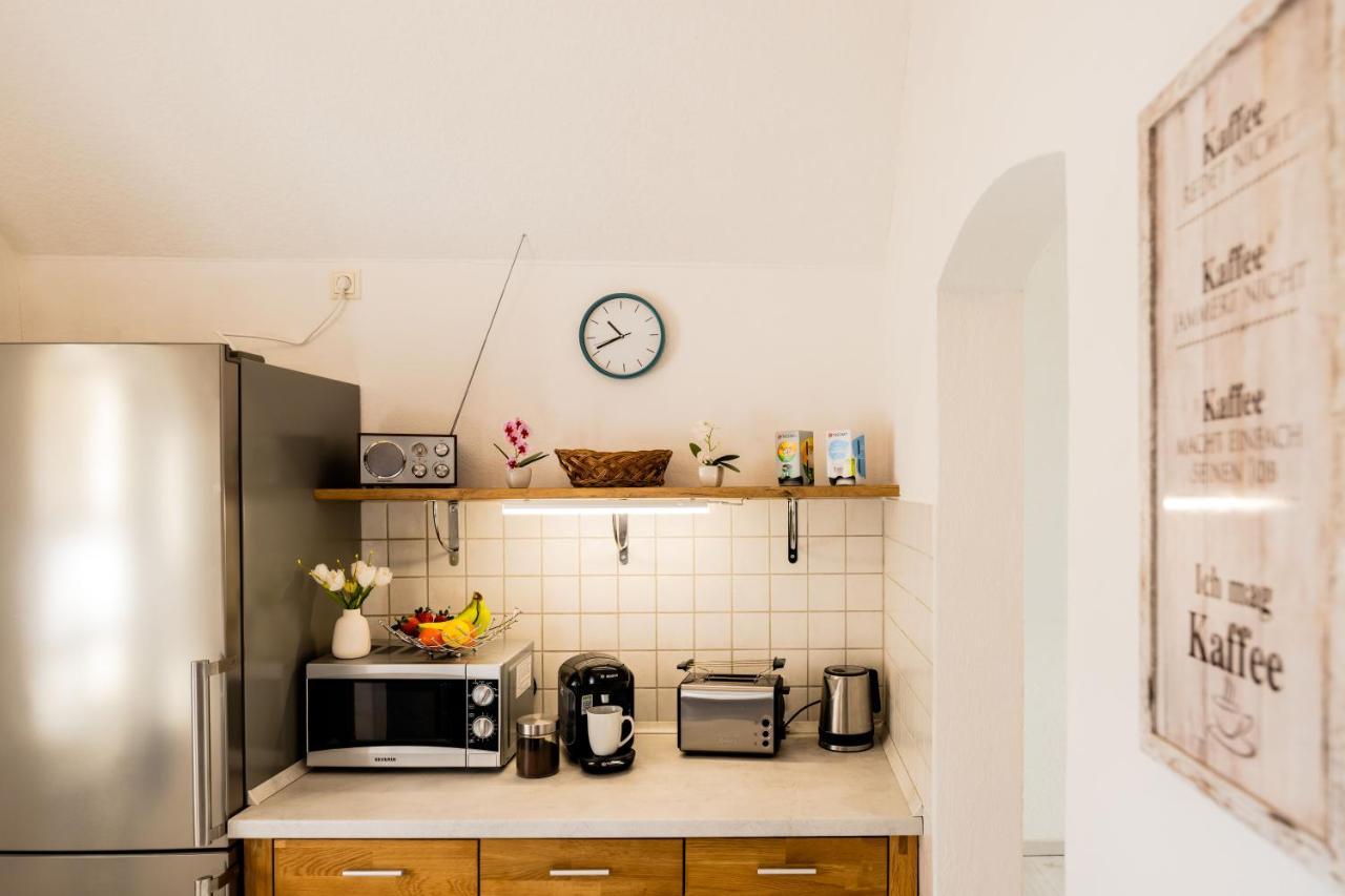 Waldblickwohnung Mit Schoener Terrasse Und Kamin Зебниц Экстерьер фото