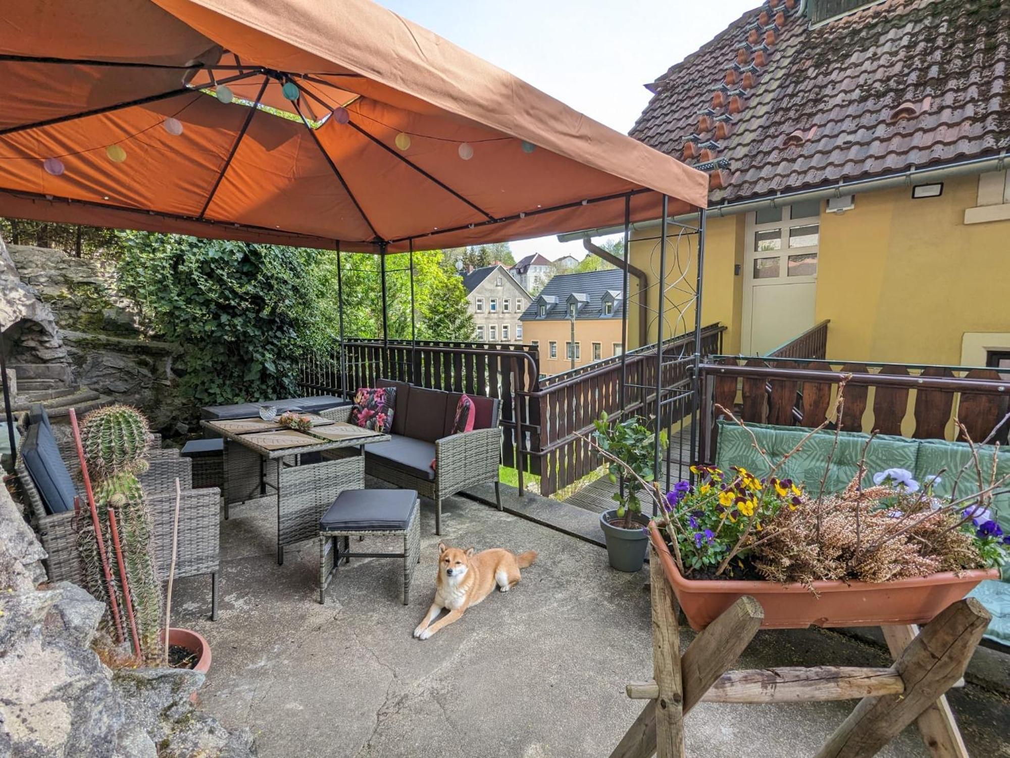 Waldblickwohnung Mit Schoener Terrasse Und Kamin Зебниц Экстерьер фото